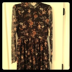 Women’s dress size medium